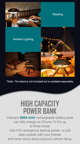 Olight Haloop Camping Metal Light